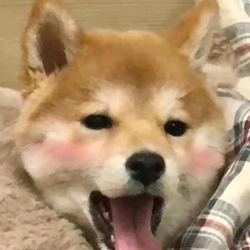 利利