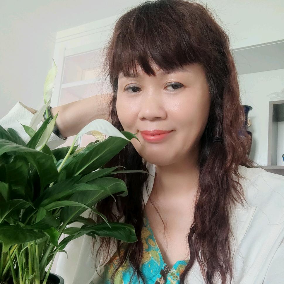 雾里看花