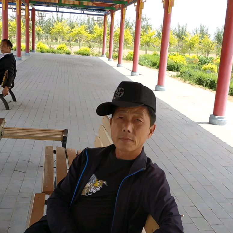 西北狼