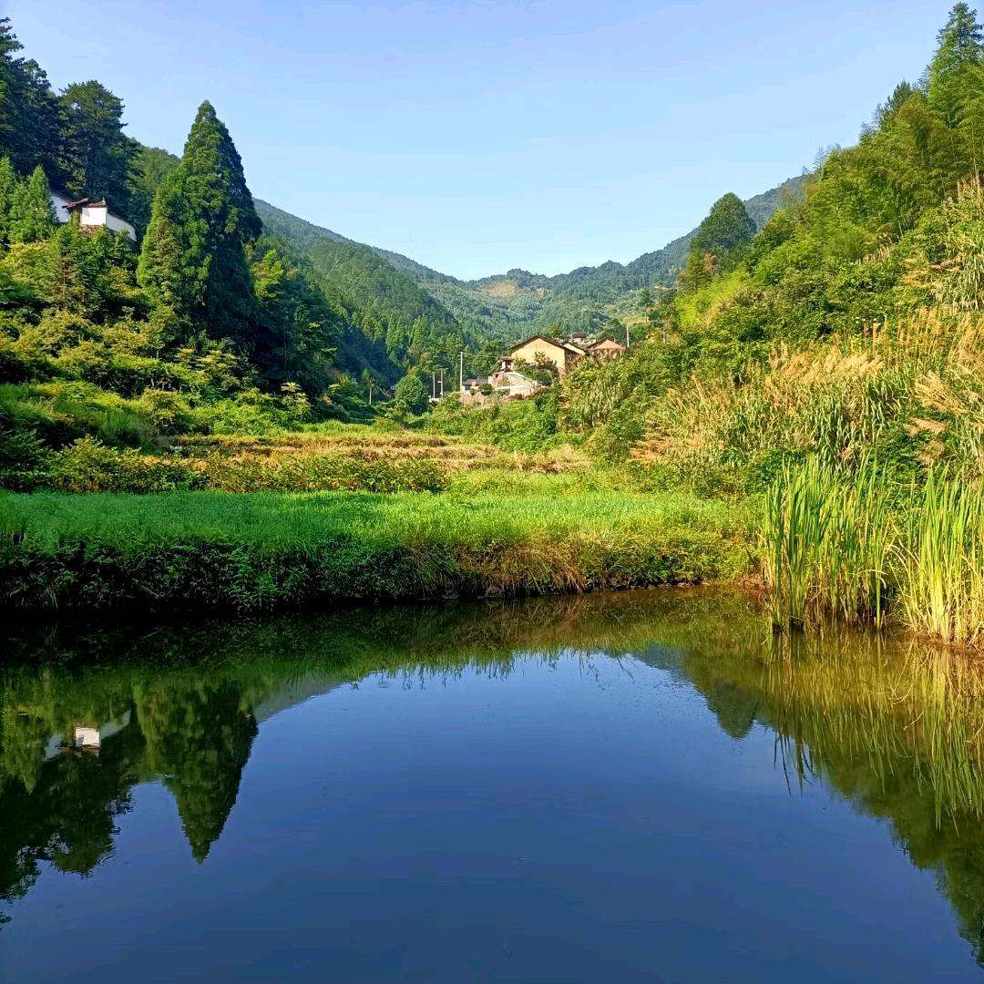 沙漠里的鱼