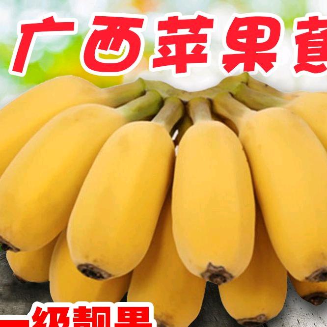 广龙轩生鲜旗舰店