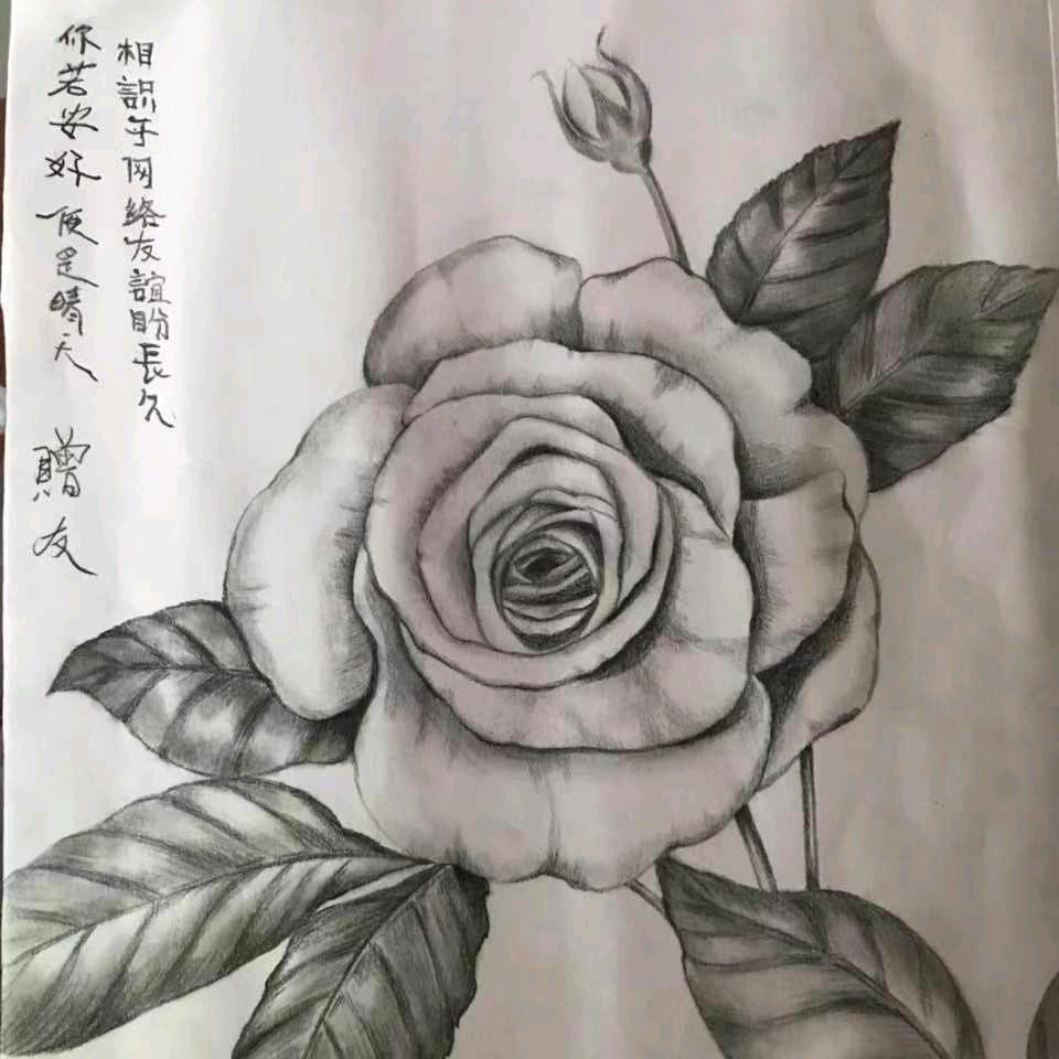 ╰⋛⋋⊱⋋ 心 ❤ 伤 ⋌⊰⋌⋚╯