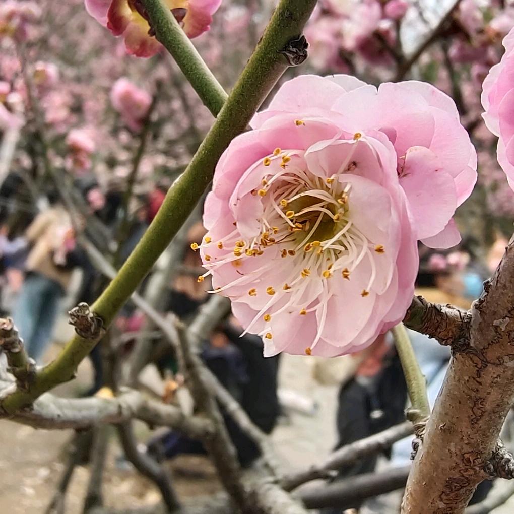 昊吃昊玩