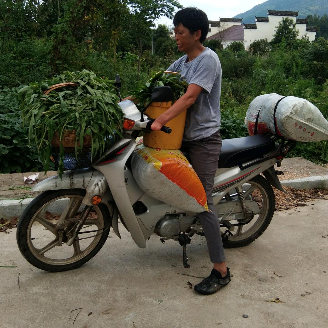 怪招哥哥🙏🙏🙏(谢绝连赞)