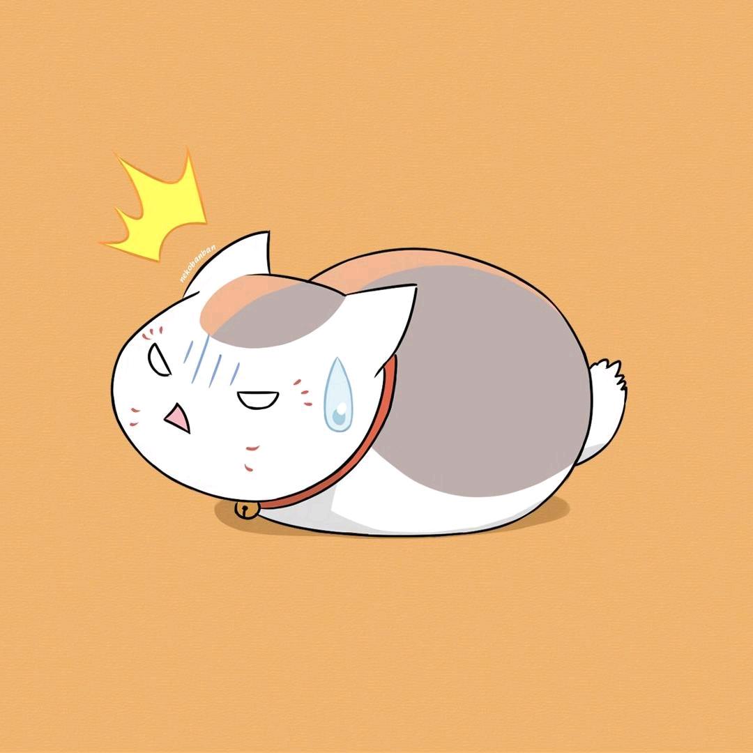 猫猫剧场