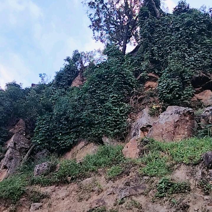 别和我逼逼1