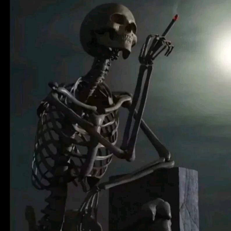 想租你的半张床