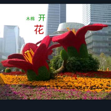 快乐伴随