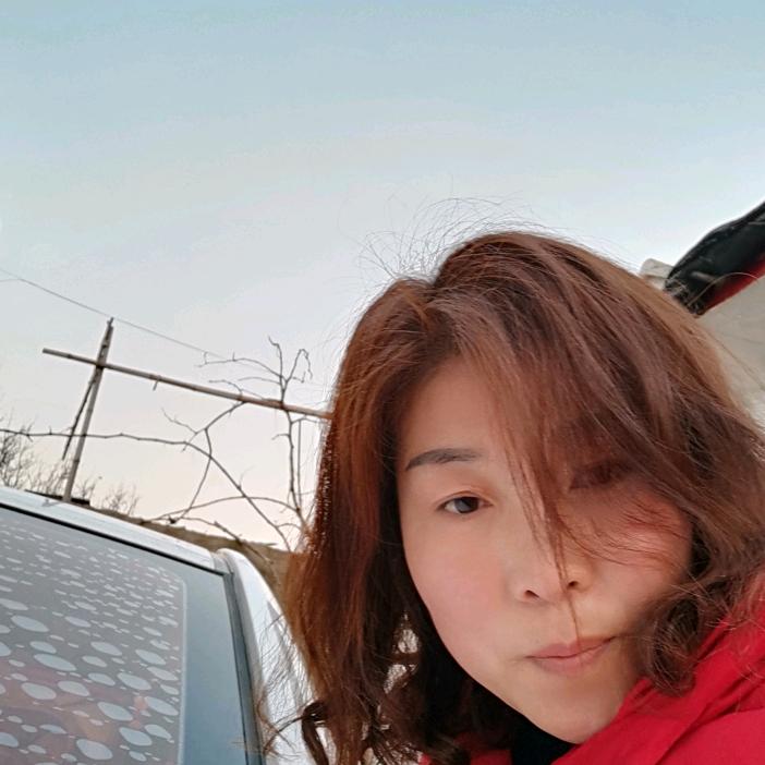 会飞的鱼