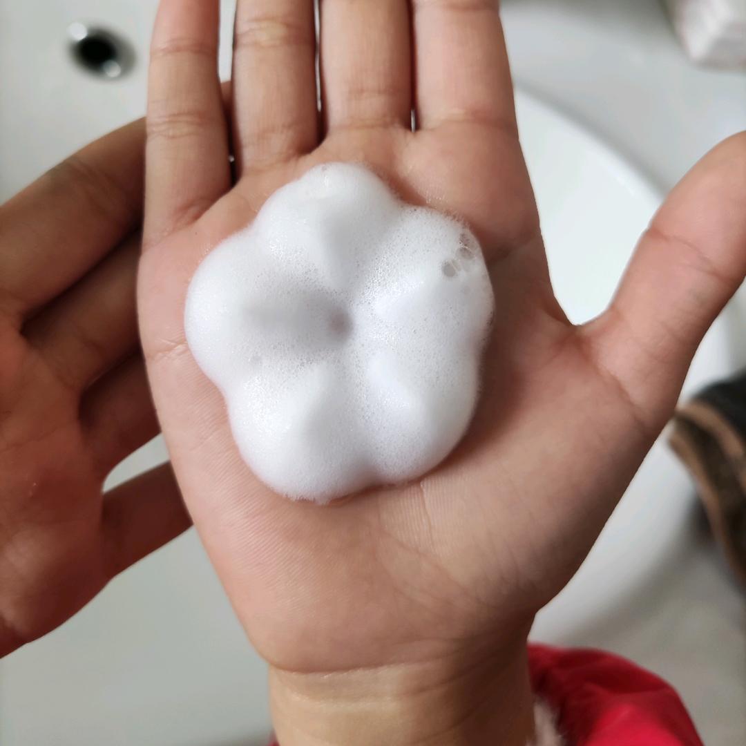 觅茶小憇