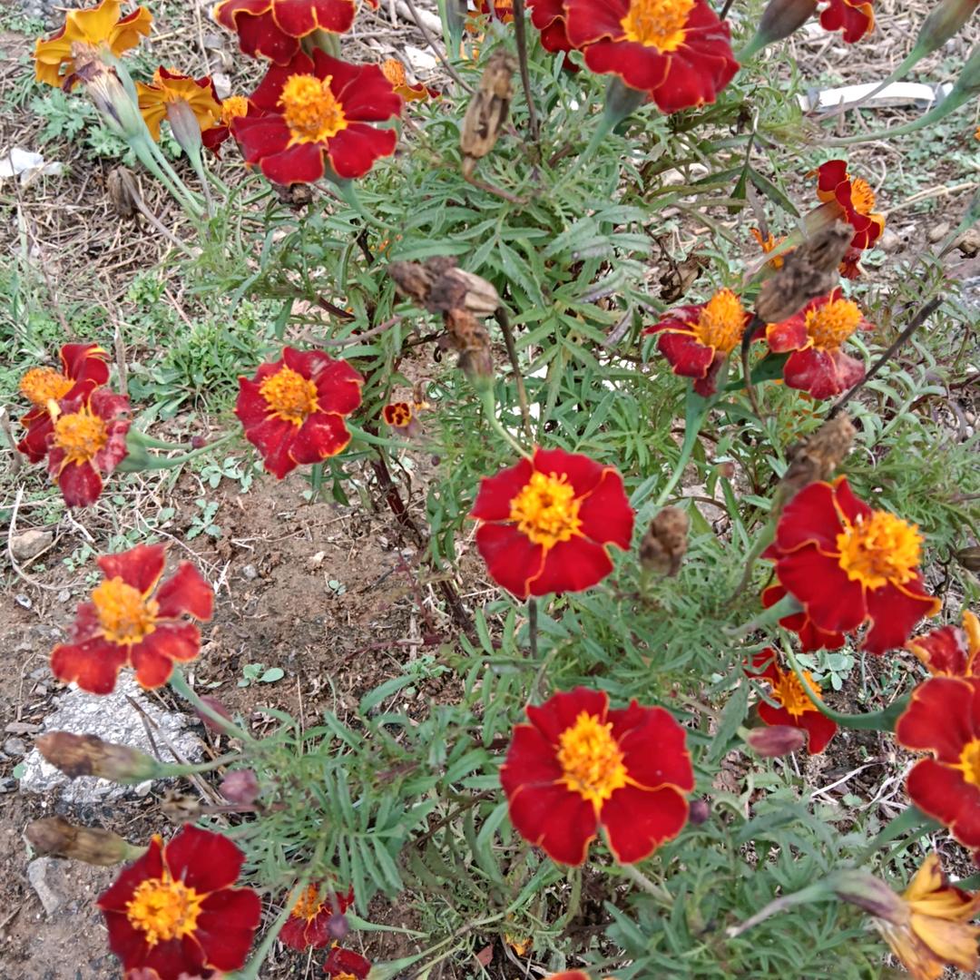 笑口常开😊建兴木业