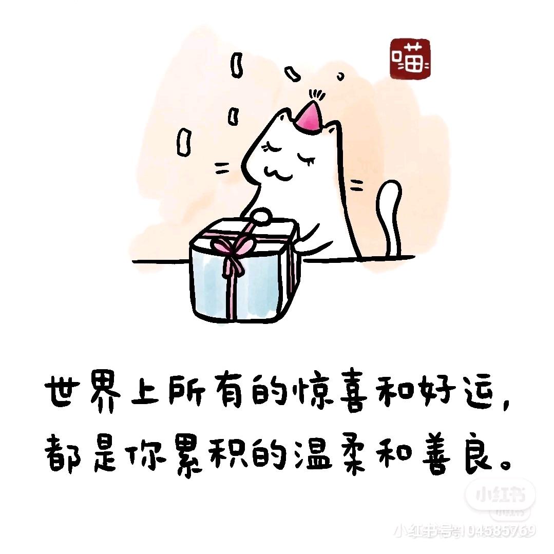 肉肉小可爱