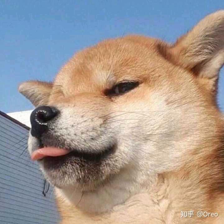 书义！