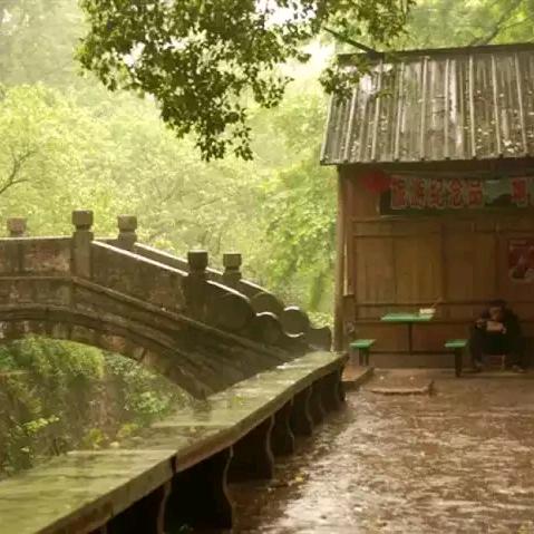 ヅ天天不吃饭.🇨🇳