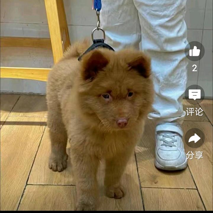鸿俊门业