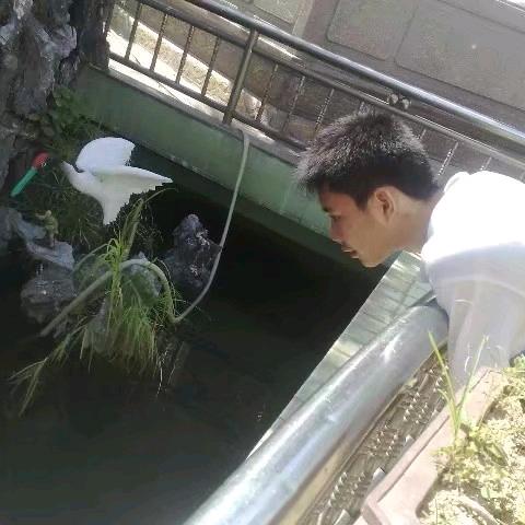 幸福在路旁 经典老歌