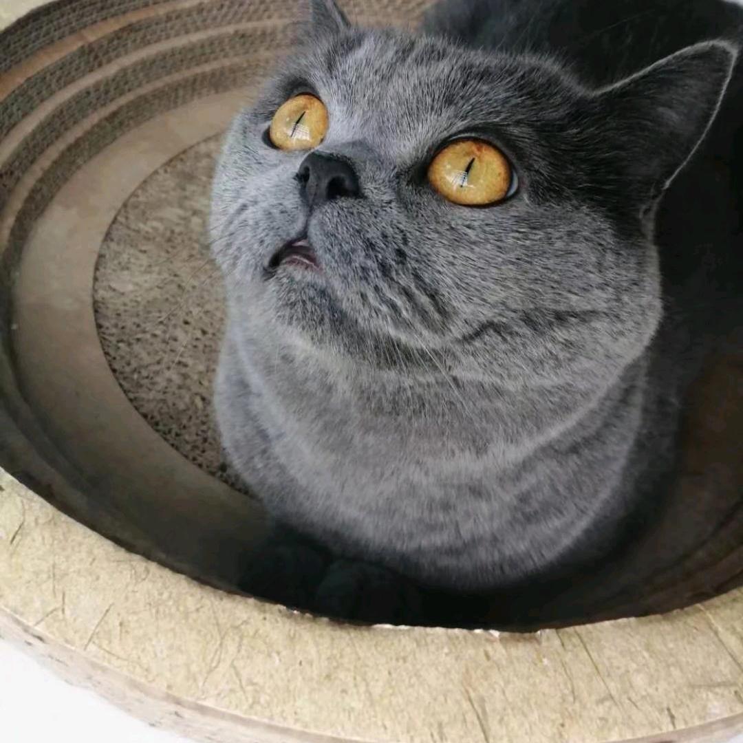 清风
