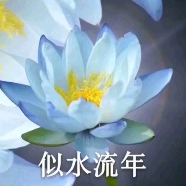酒喜一条龙服务的王姐