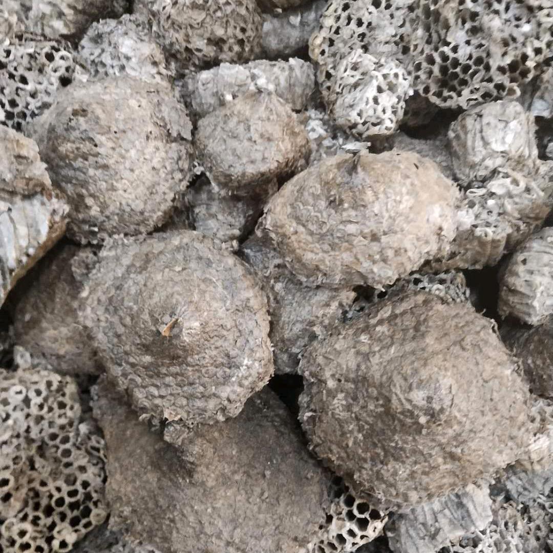 蜂房王子