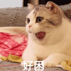 😴