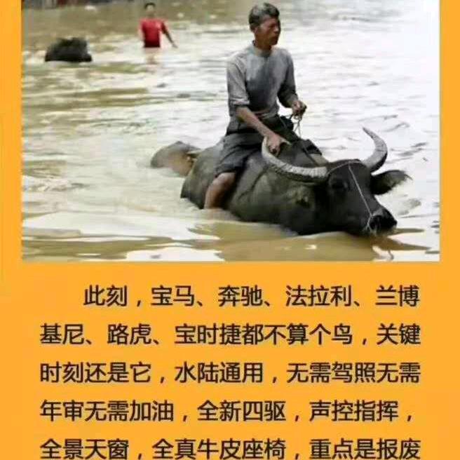 邹开洪