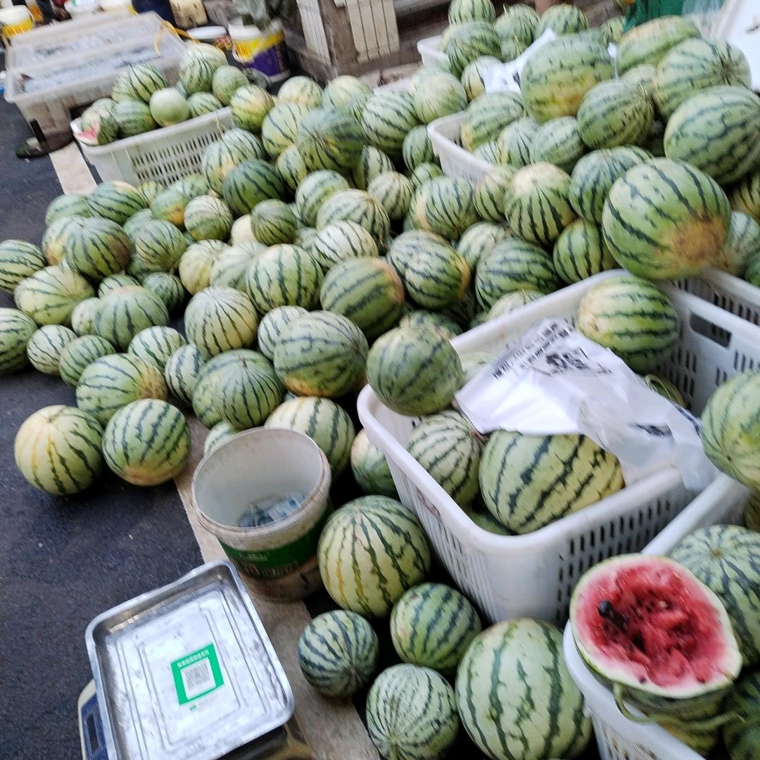 瓜🍉哥