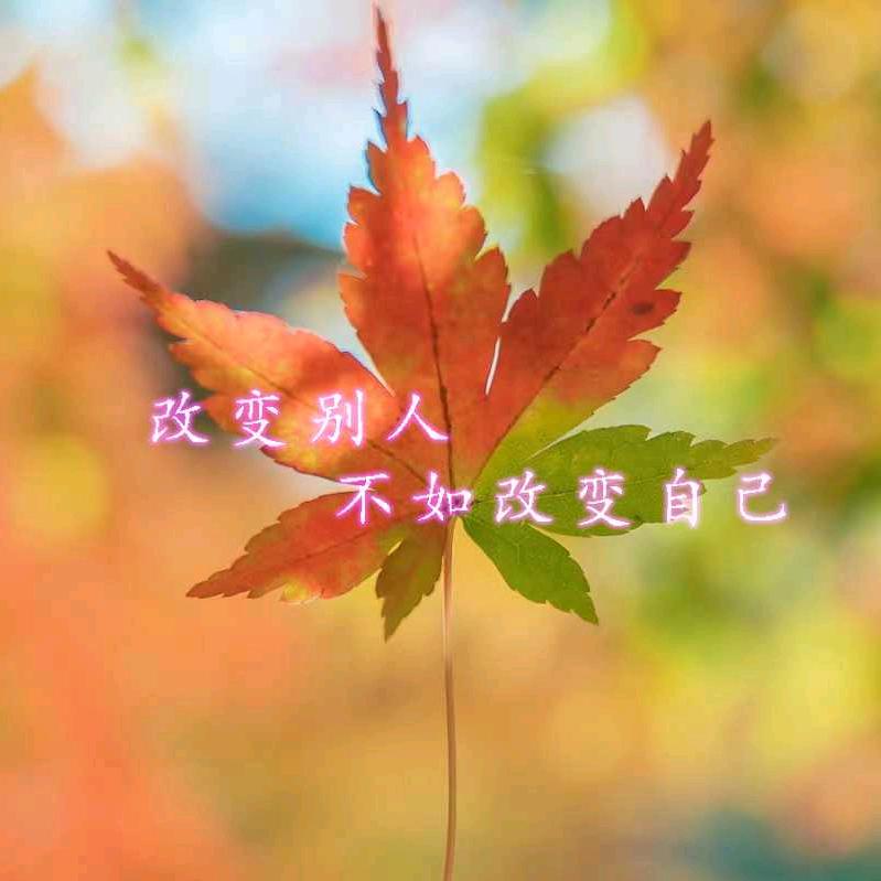 成长的记忆