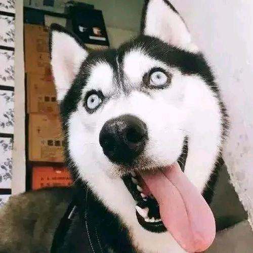 @长安^O^