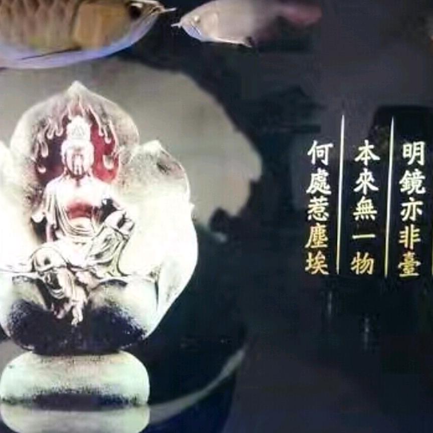 邦邦两拳