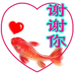 用户4067136381614