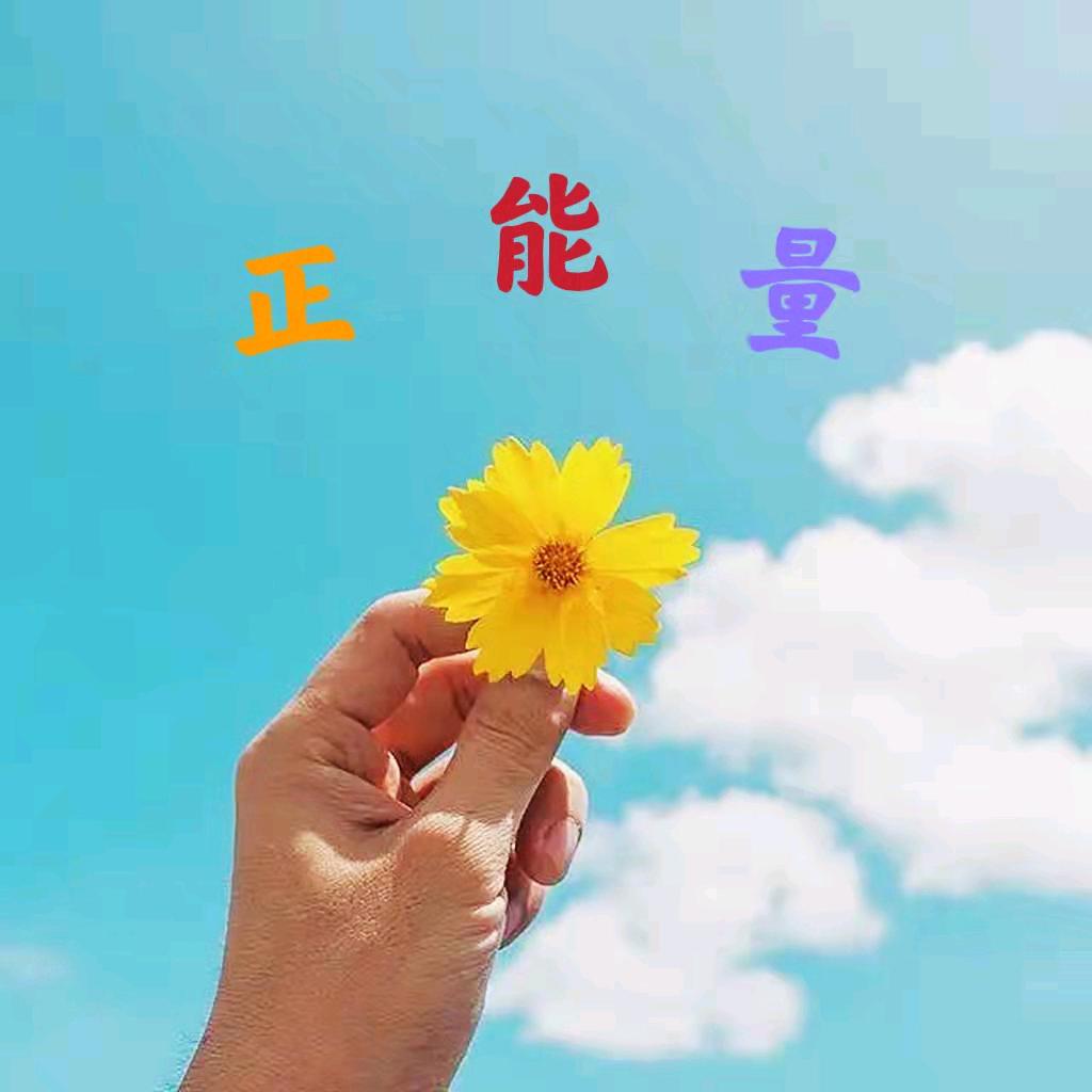 👑春华秋实（正能量）