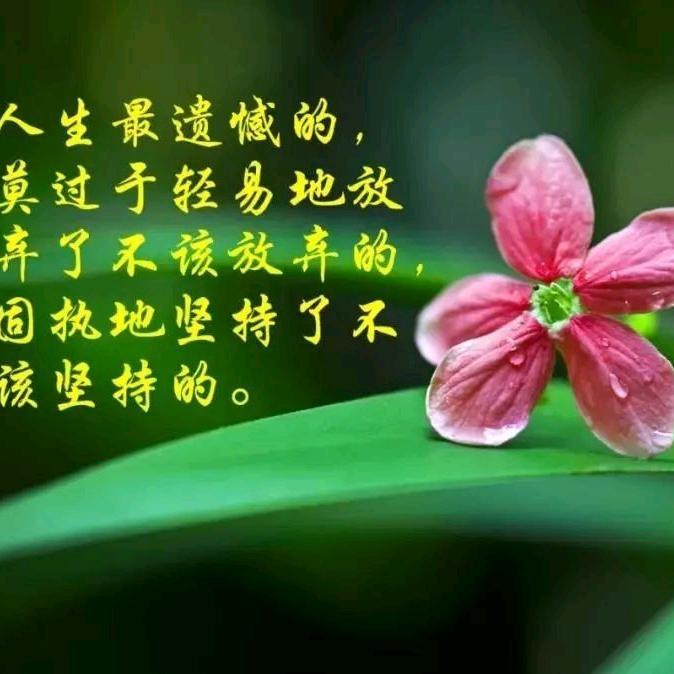 快乐人生！！！