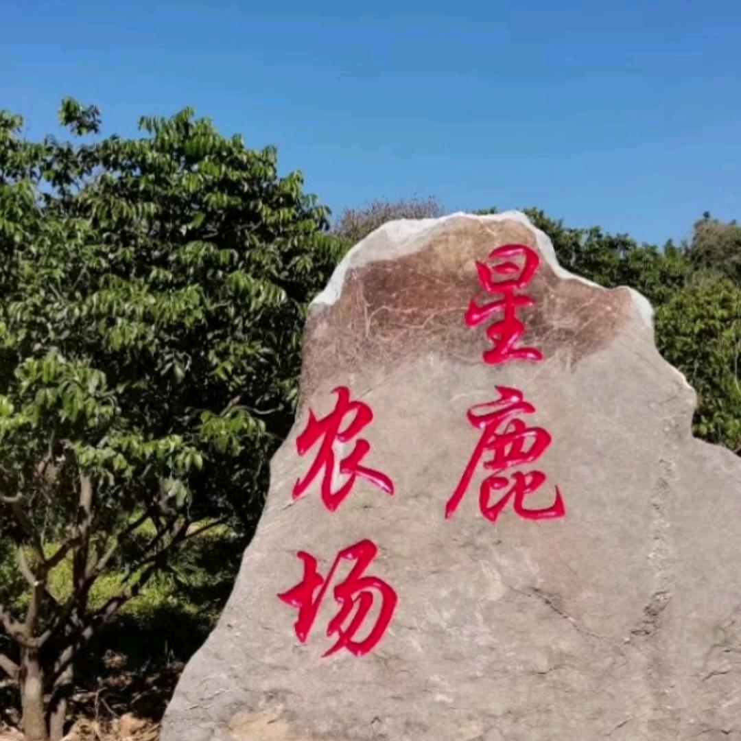 星鹿观光农场