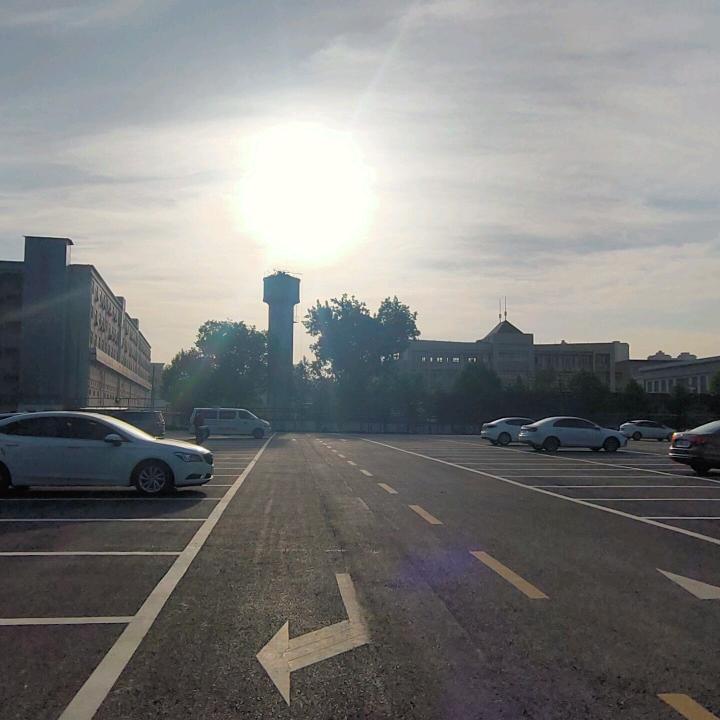 骆驼爱上了跑步