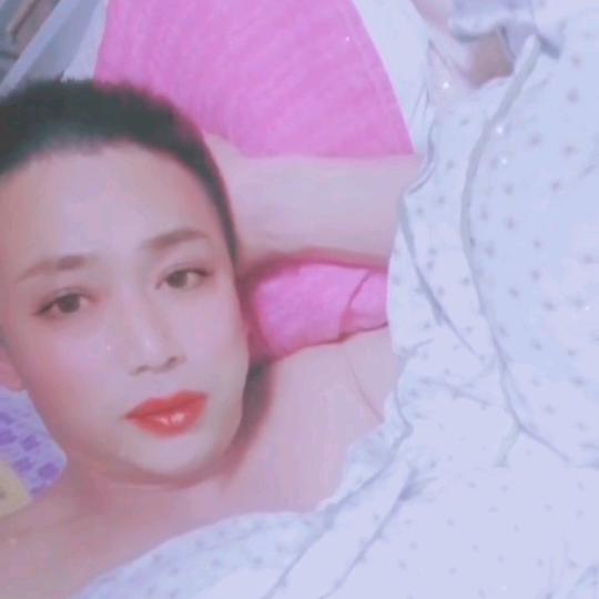 🐇先锋🐇