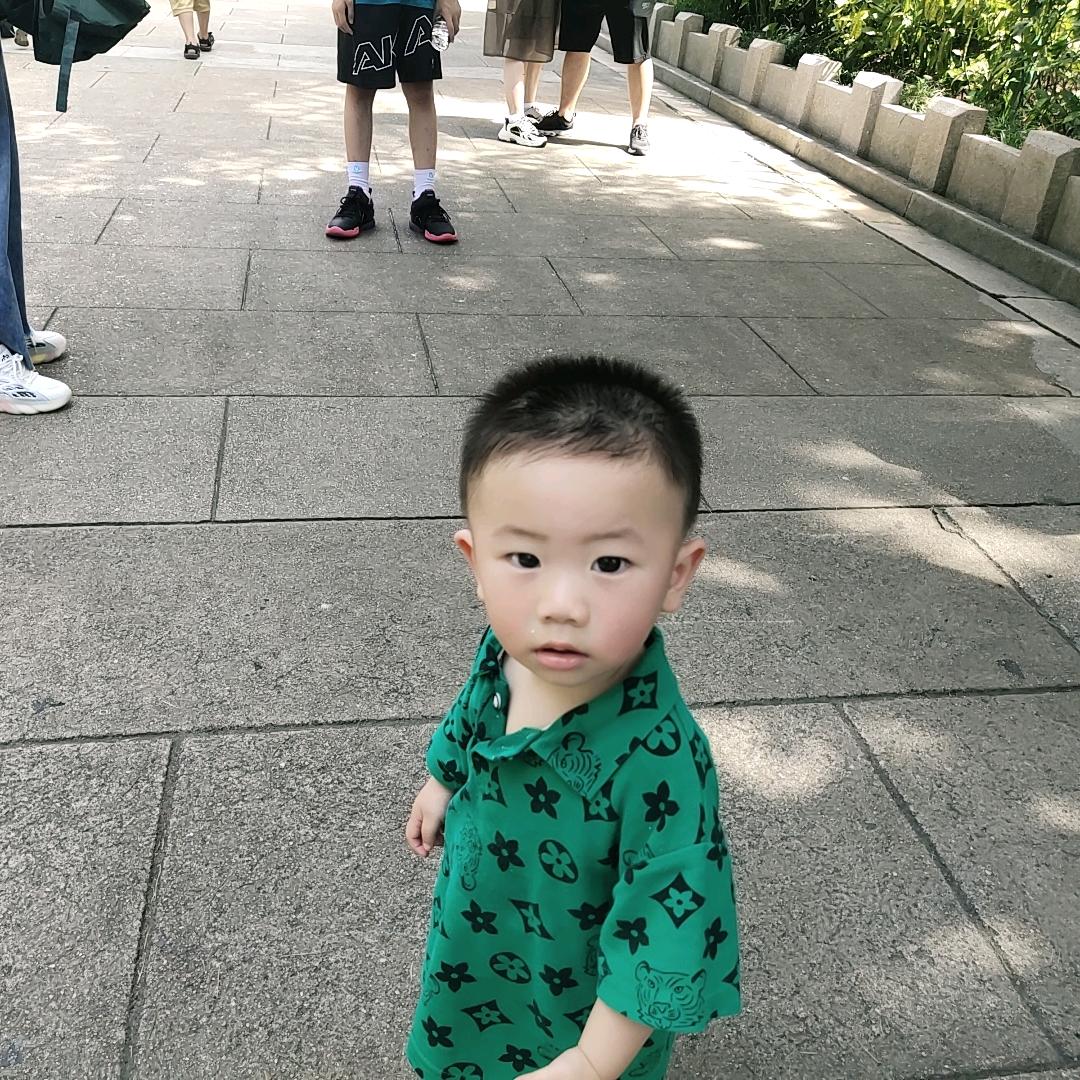 不会飞的猪