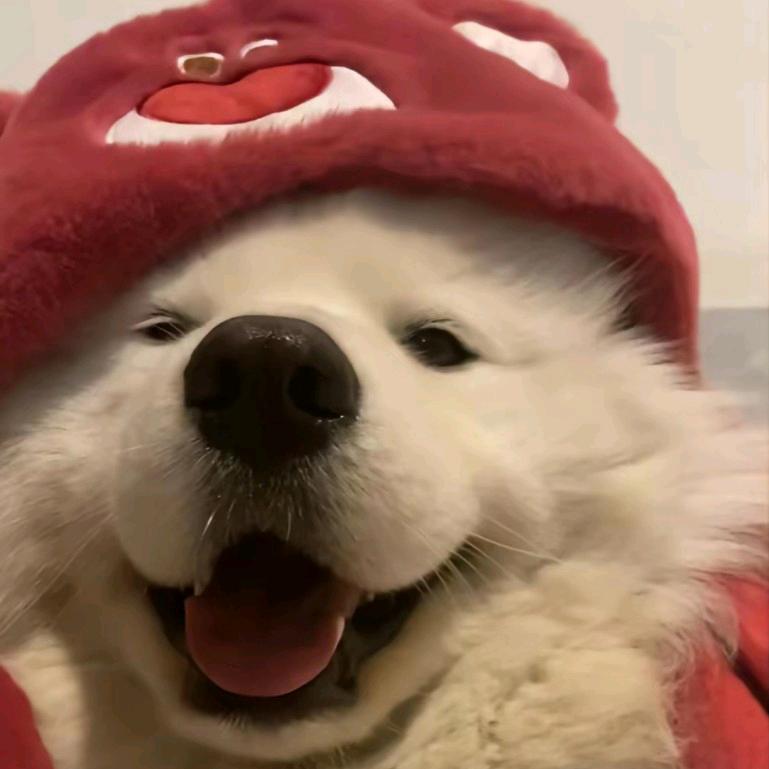 我吃吃吃吃吃