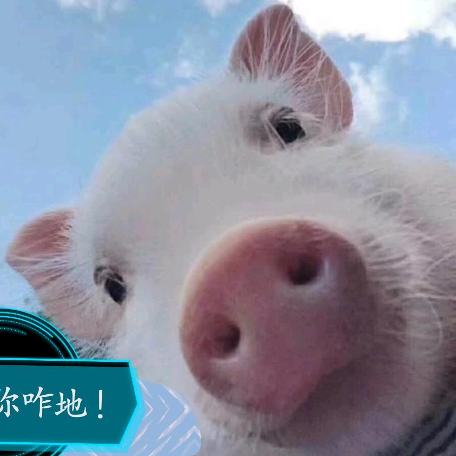 广西肥杨维修