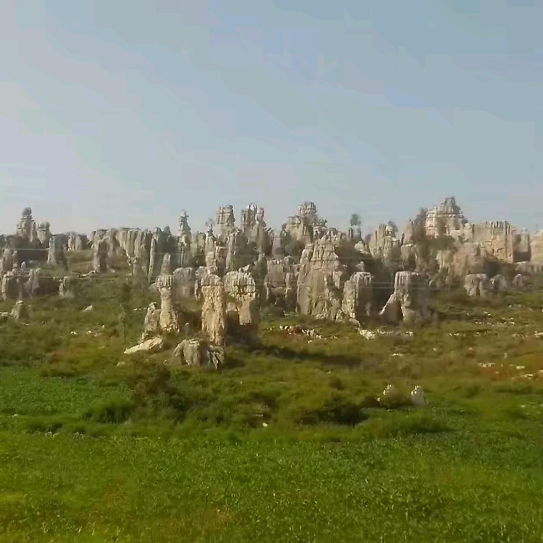 W╭(╯先生╰)╮