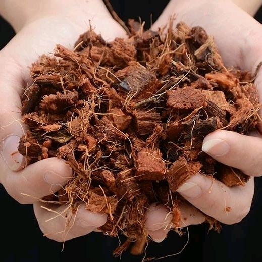 卖椰糠泥炭营养土的小吴子