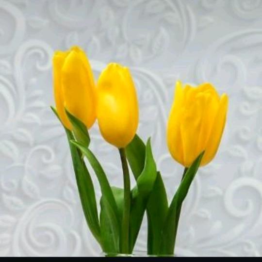 🥀ঞ发奋图强₅₂₀💞