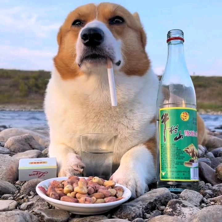 梁仔
