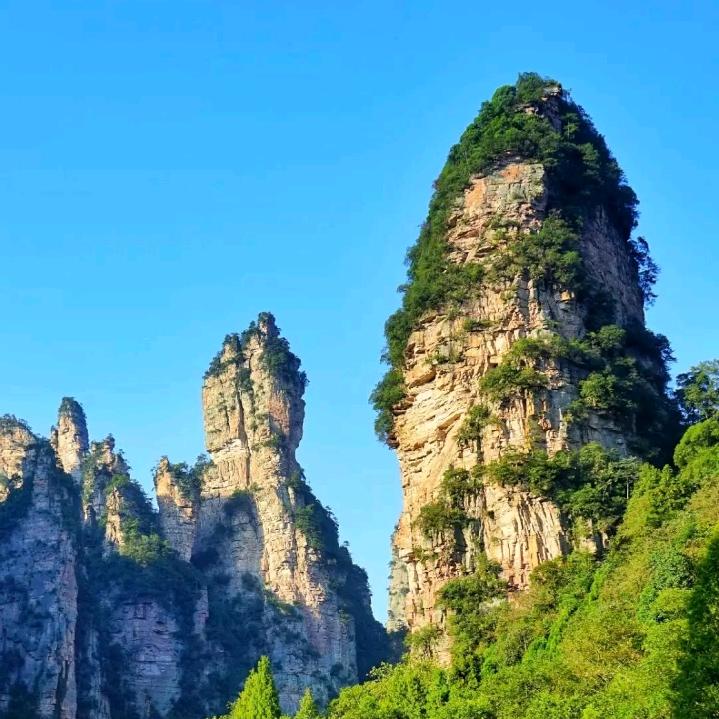 小崔同学
