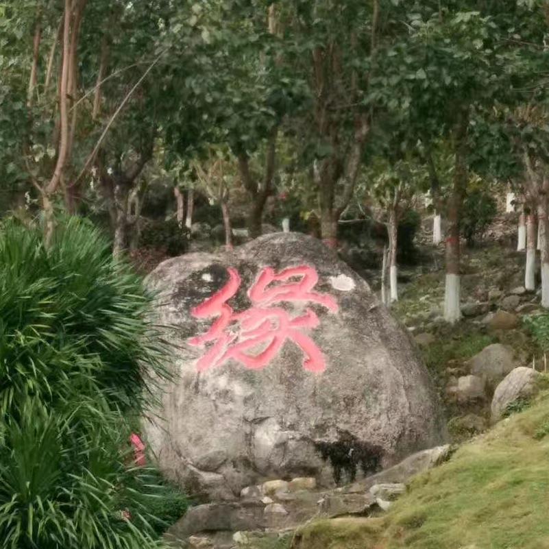 缘