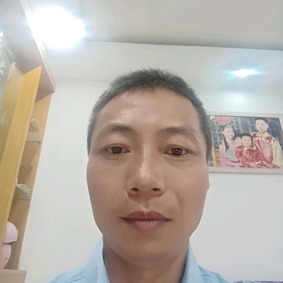 白鸽
