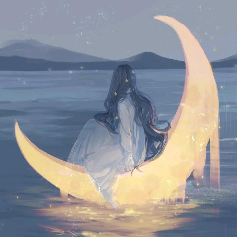 一颗橙芷