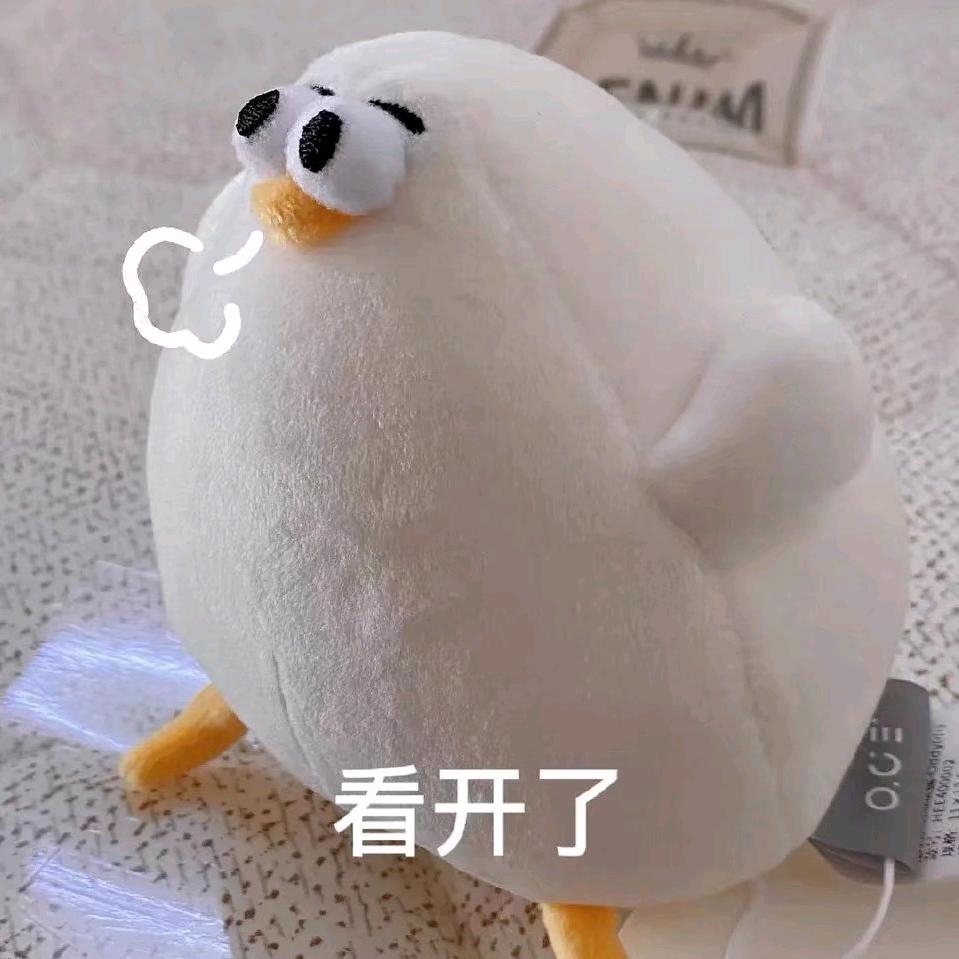 柯基一米六