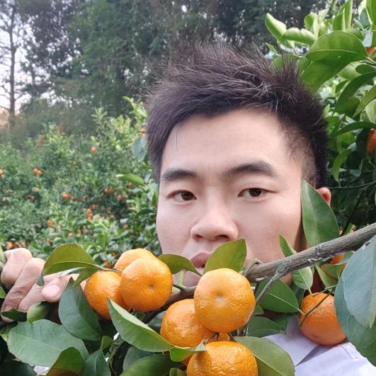 大头虾