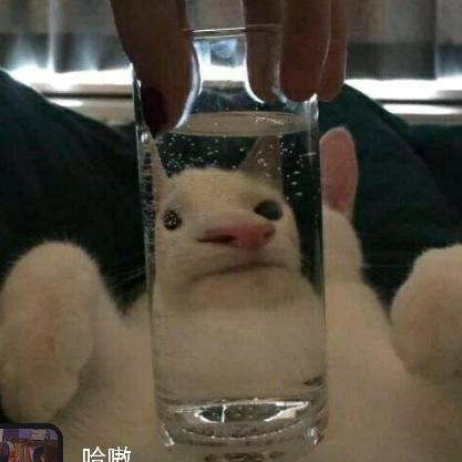 哈