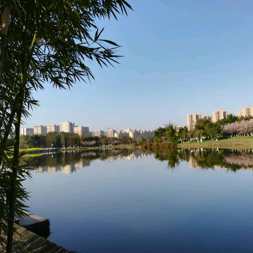 难搞哦